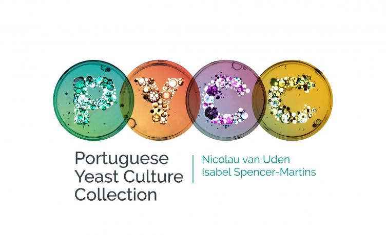 PYCC Logo