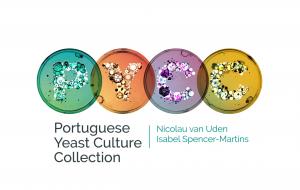 PYCC Logo